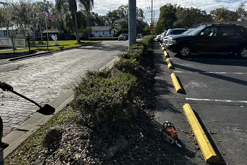 Parking Area of a Wesley Chapel Commercial Property In Need of Lawn Care Services