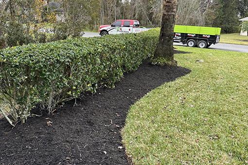 Commercial Lawn in Wesley Chapel Florida That Recently Received Mulching Services