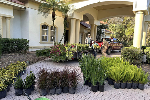 Several Plants and Flowers Delivered by Wesley Chapel Company Installing on Commercial Lots