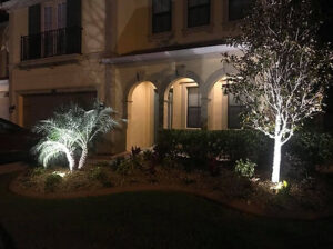 House Well Lit Because of Lighting Installed by Lawn Care Company Based in Wesley Chapel Florida