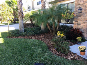 Mulch Delivered to a Wesley Chapel House by Local Lawn Care and Landscaping Company