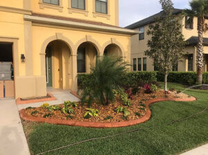 Beautiful Landscape of a Wesley Chapel House Designed by Lawn Care Specialists