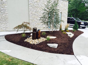 Plant Installs in a Well-cared Lawn in Wesley Chapel Florida