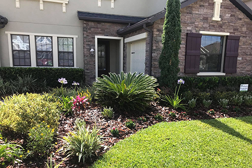Wesley Chapel Residential Property's New Landscaping Design