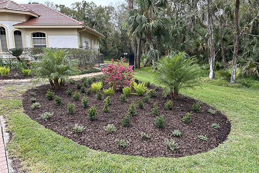 Wesley Chapel Residential Lawn With Proper Mulching