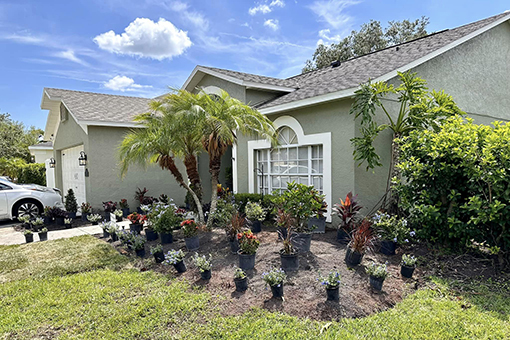 Output of Plant and Flower Installation on a Wesley Chapel Residential House