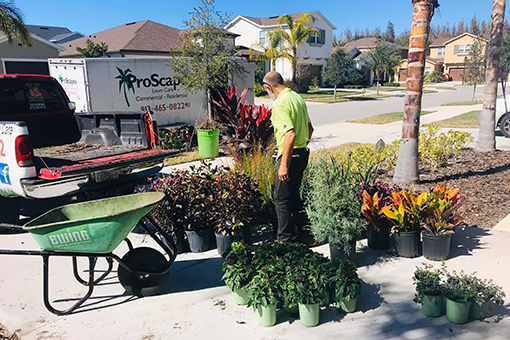 Wesley Chapel Man Unloading Flowers and Plants To Be Installed on a Residential Lot