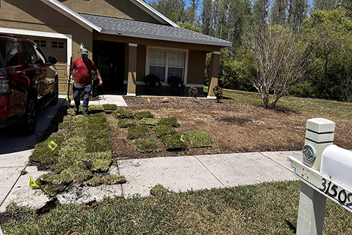 Wesley Chapel Resident Installing Sod on His Lawn