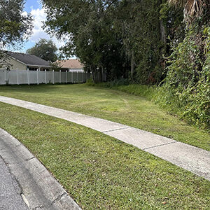 Lawn Well-maintained by a Wesley Chapel Commercial Landscaping Company