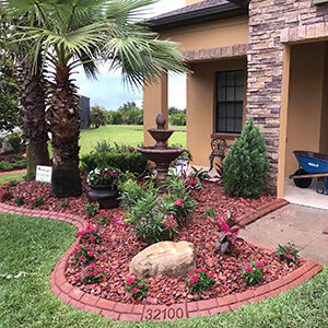 Landscaping Outside a Wesley Chapel Commercial Unit