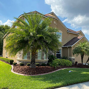 Big House in Wesley Chapel With Beautiful Landscaping
