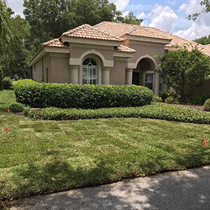Residential Lawn Landscaped and Maintained by a Wesley Chapel Landscaping Company